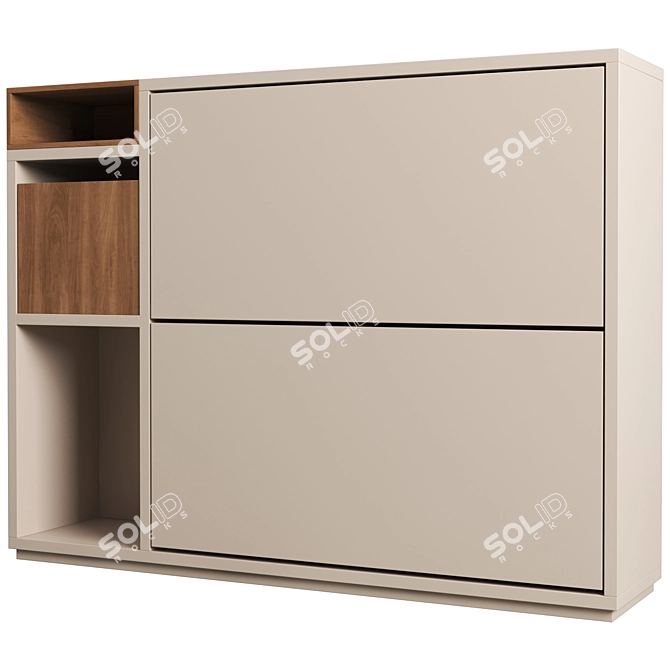 Modern Double Shoe Storage Solution 3D model image 2