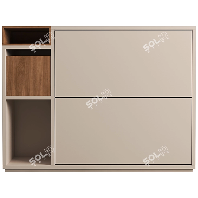 Modern Double Shoe Storage Solution 3D model image 3