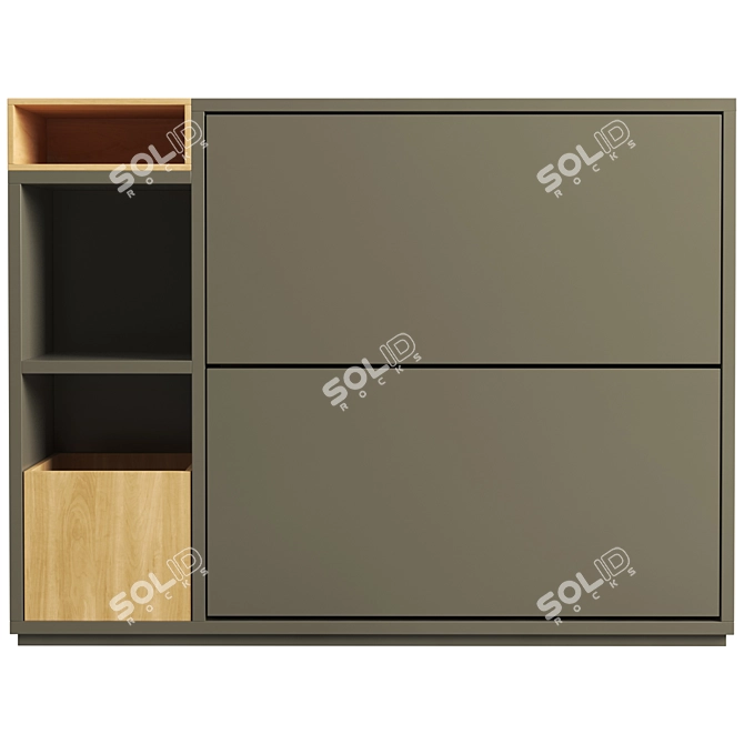 Modern Double Shoe Storage Solution 3D model image 4