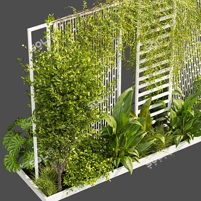 Urban Plant Collection Pack 3D model image 3