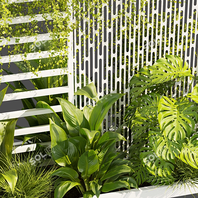 Urban Plant Collection Pack 3D model image 6