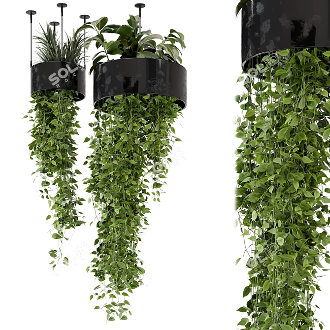 Metal Box Hanging Plants Set 3D model image 1