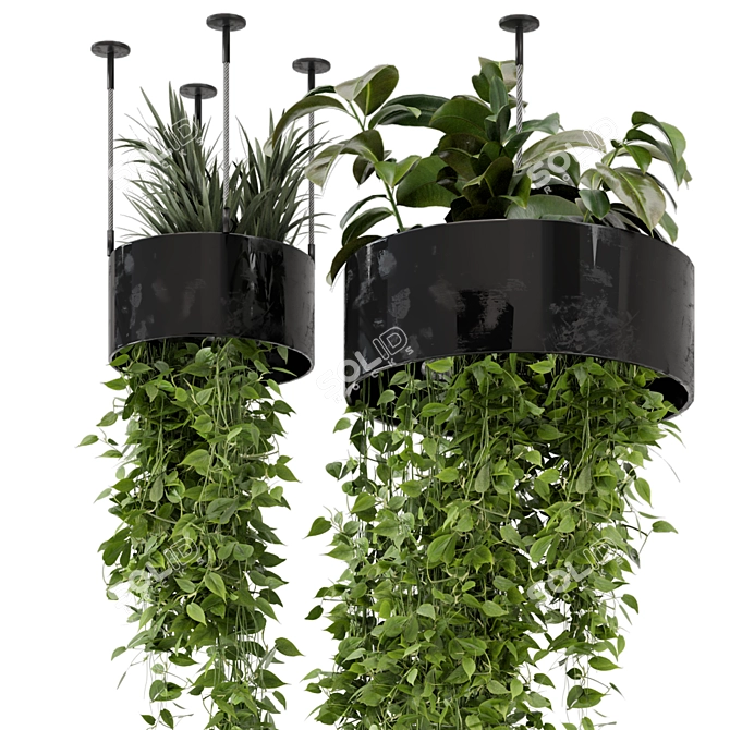 Metal Box Hanging Plants Set 3D model image 2