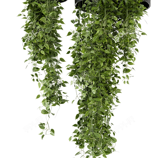 Metal Box Hanging Plants Set 3D model image 3