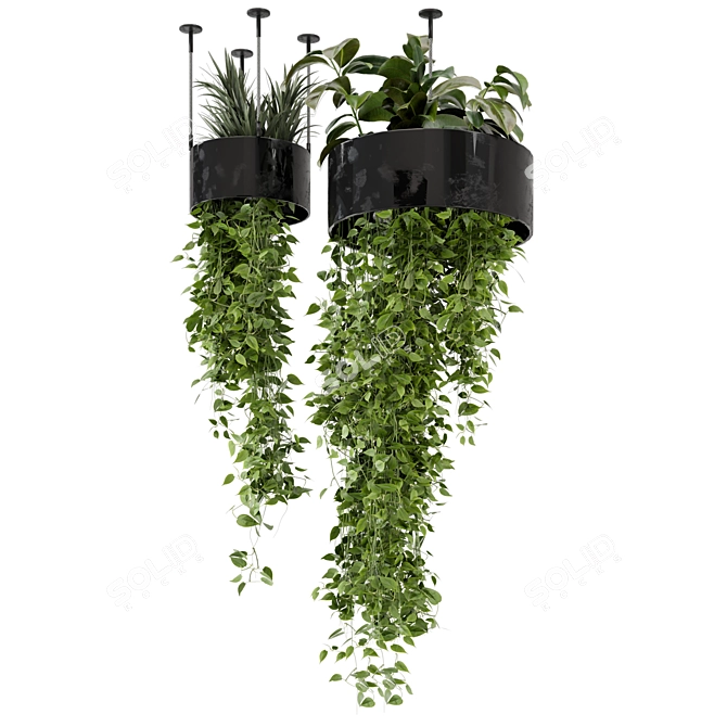 Metal Box Hanging Plants Set 3D model image 4