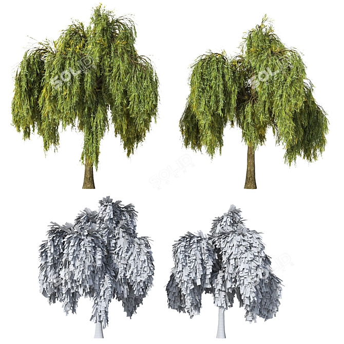Detailed Weeping Willow Tree Pair 3D model image 3