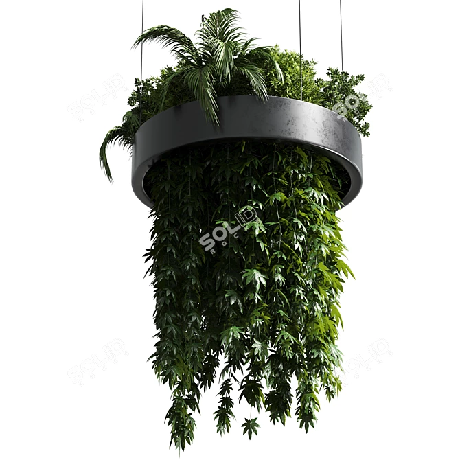 Title: Metal Hanging Indoor Plant 3D model image 1