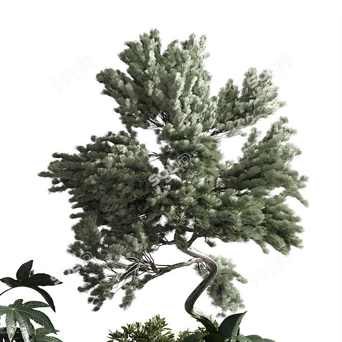 Bonsai Garden Set 3D Model 3D model image 4