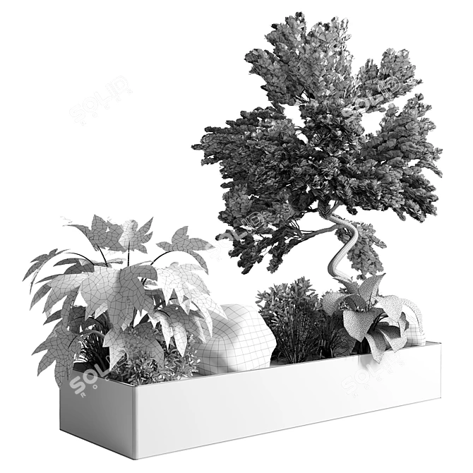 Bonsai Garden Set 3D Model 3D model image 5