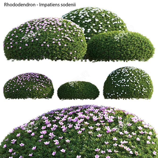 Versatile 3D Plant Models Collection 3D model image 1