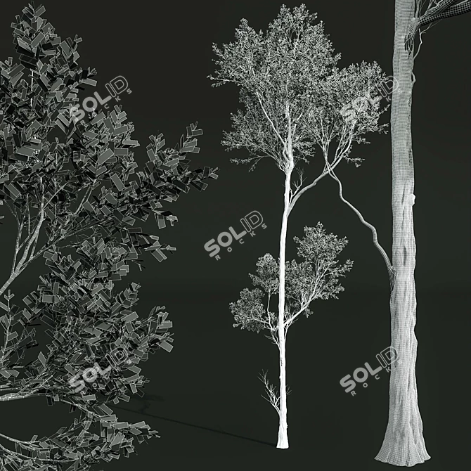 Forest Tree 3D Model Set 3D model image 6