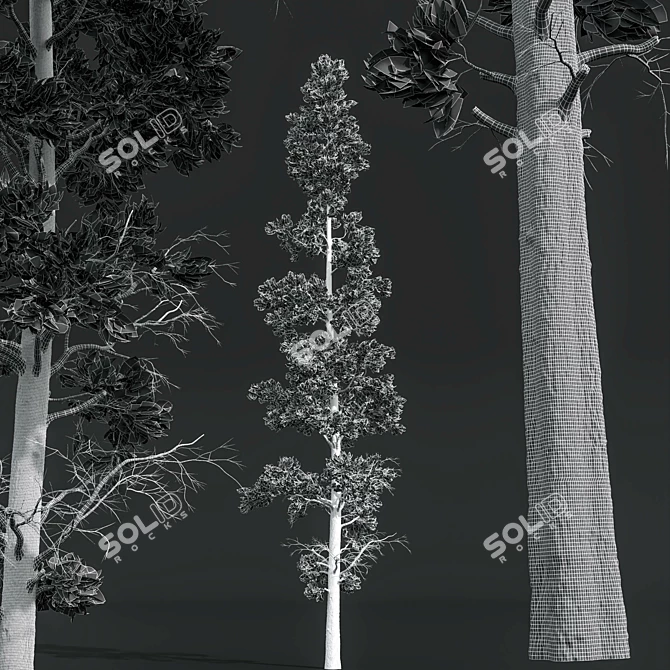 Forest Tree 3D Model Set 3D model image 7