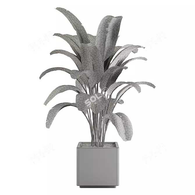 Modern Minimalist Indoor Plant No.21 3D model image 2