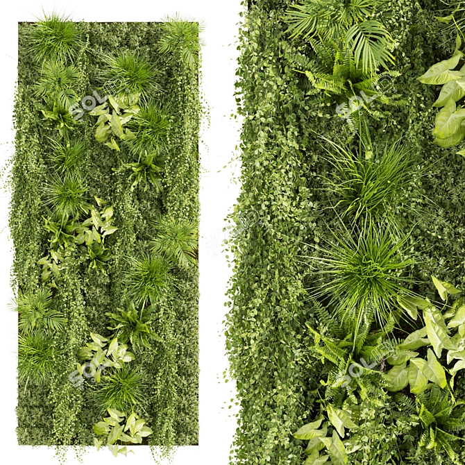 Vertical Leaf Plant Collection - Premium Quality 3D model image 1