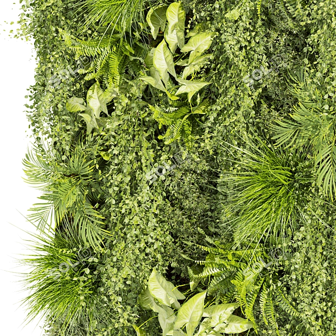 Vertical Leaf Plant Collection - Premium Quality 3D model image 3