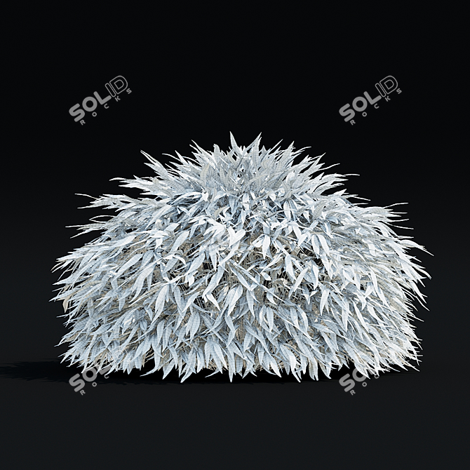 Hakonechloa macra Ornamental Grass Collection 3D model image 4