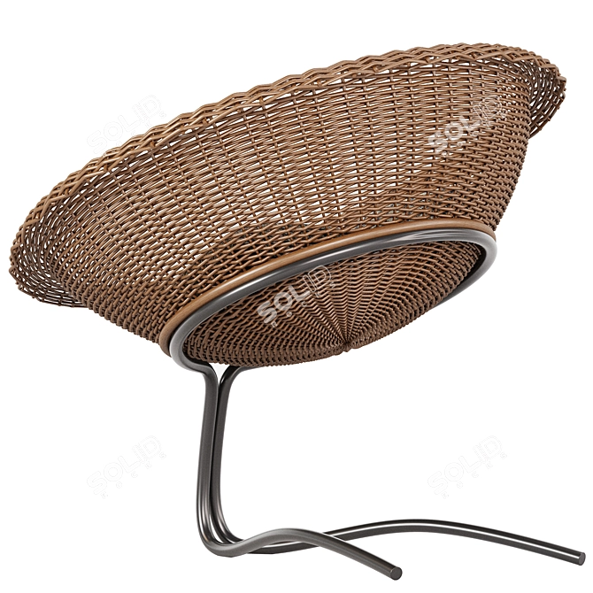  Modern Rattan Armchair Collection 3D model image 4