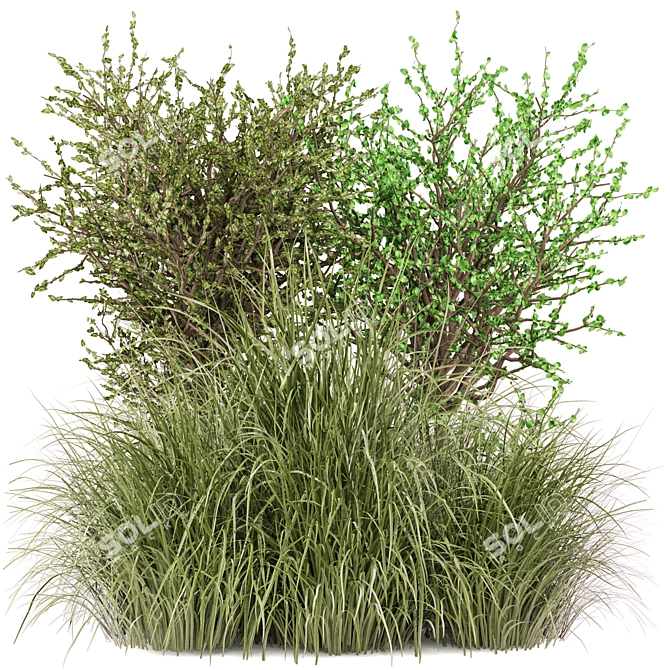 Outdoor Bush Plant Models Set 3D model image 1