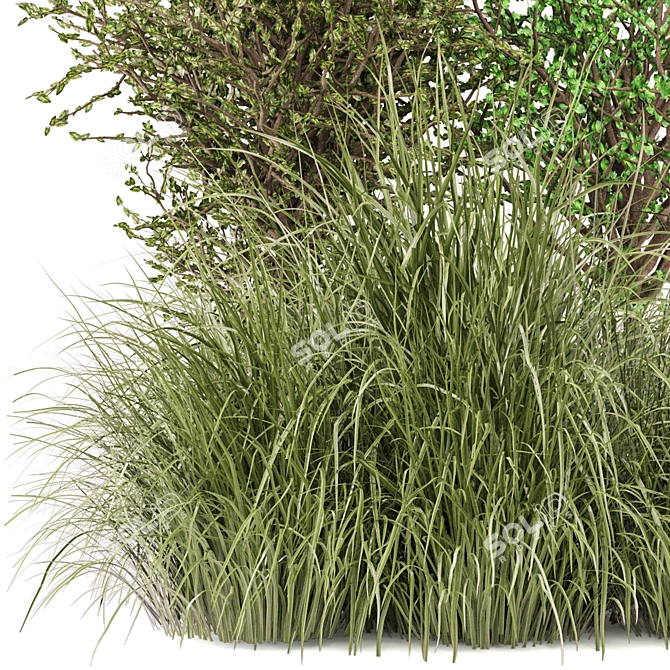 Outdoor Bush Plant Models Set 3D model image 2