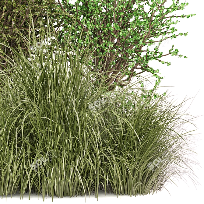 Outdoor Bush Plant Models Set 3D model image 3