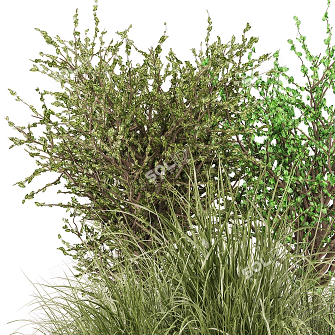 Outdoor Bush Plant Models Set 3D model image 5