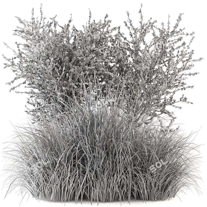 Outdoor Bush Plant Models Set 3D model image 6