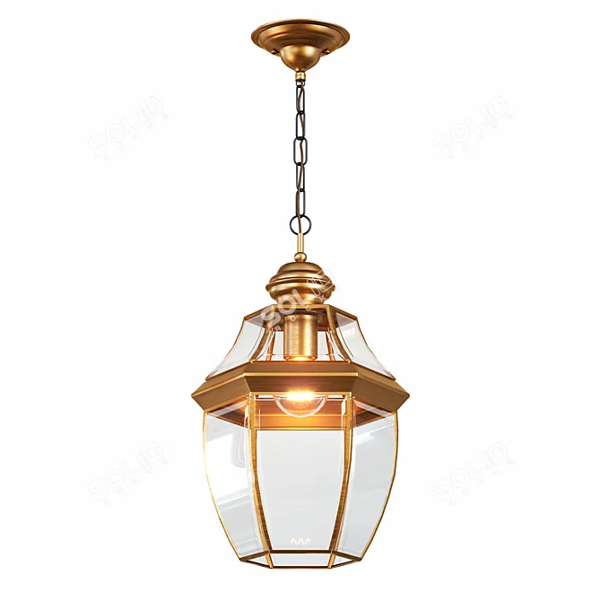 Glass Brass Ceiling Pendant Lamp 3D model image 1