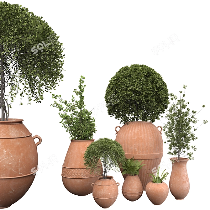 Botanical Beauties in Clay Pots 3D model image 1