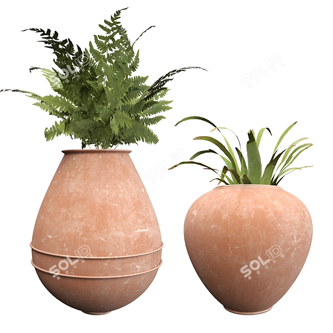 Botanical Beauties in Clay Pots 3D model image 5