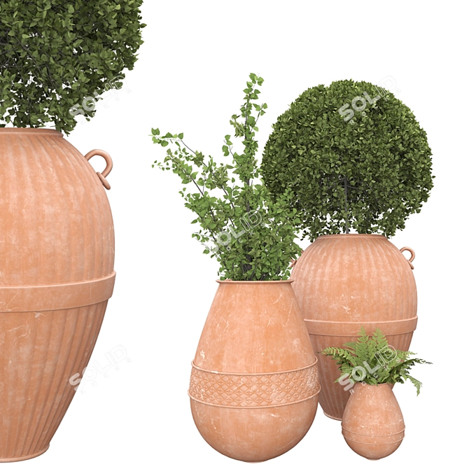 Botanical Beauties in Clay Pots 3D model image 8