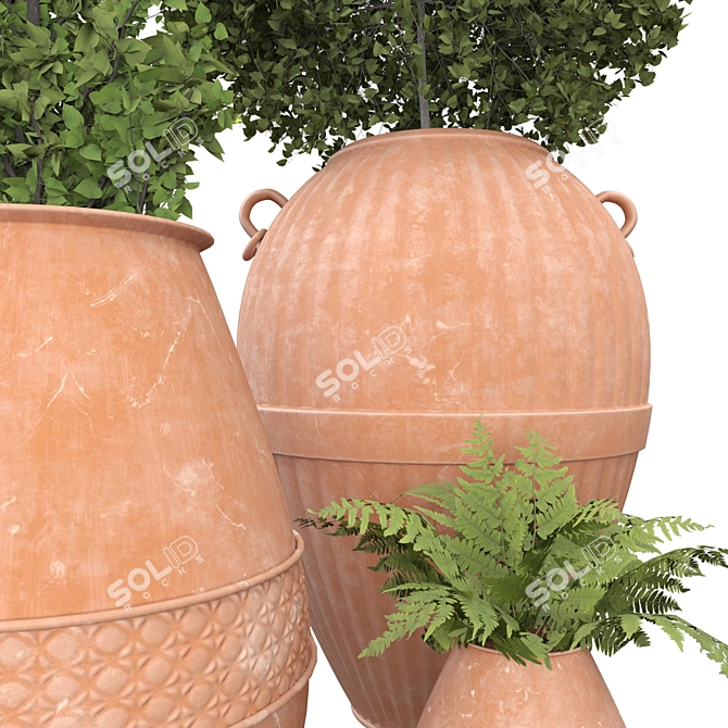 Botanical Beauties in Clay Pots 3D model image 9