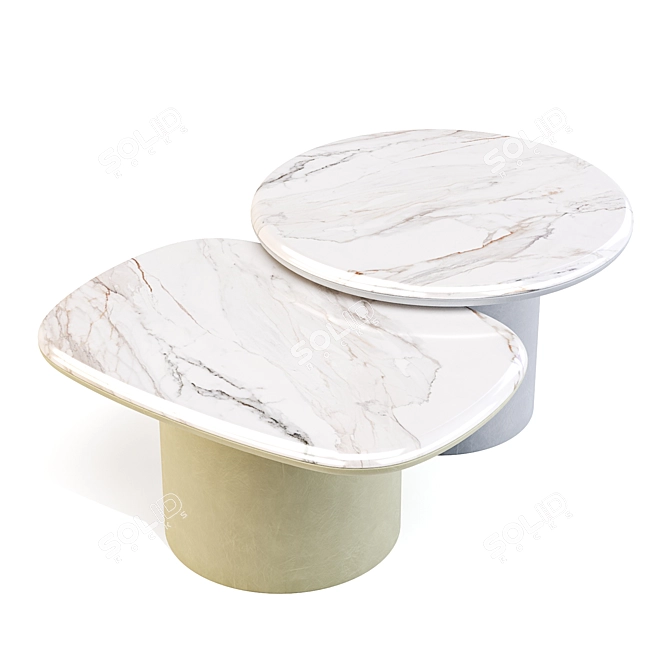 Gemini Leather Marble Coffee Tables 3D model image 2