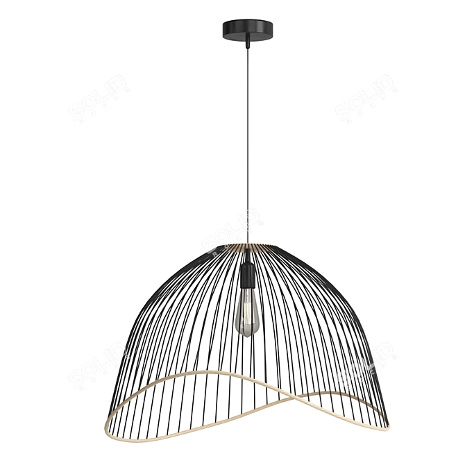 Matte Black Iron Rattan Pendant 3D model image 1