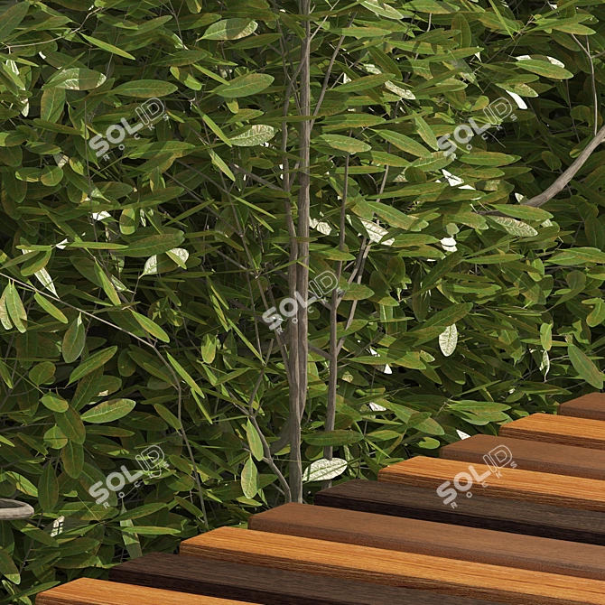 Cherry Laurel Bench with Topiary 3D model image 2