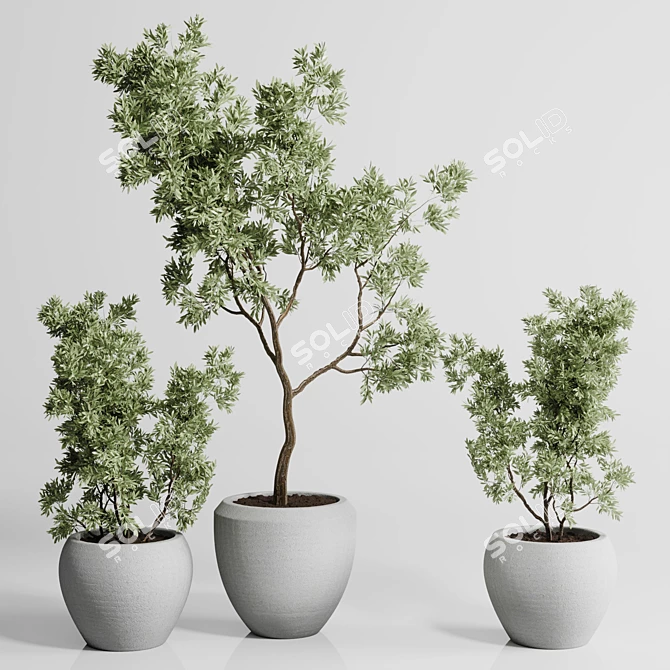 Concrete Vase Plant Collection Outdoor 3D model image 2