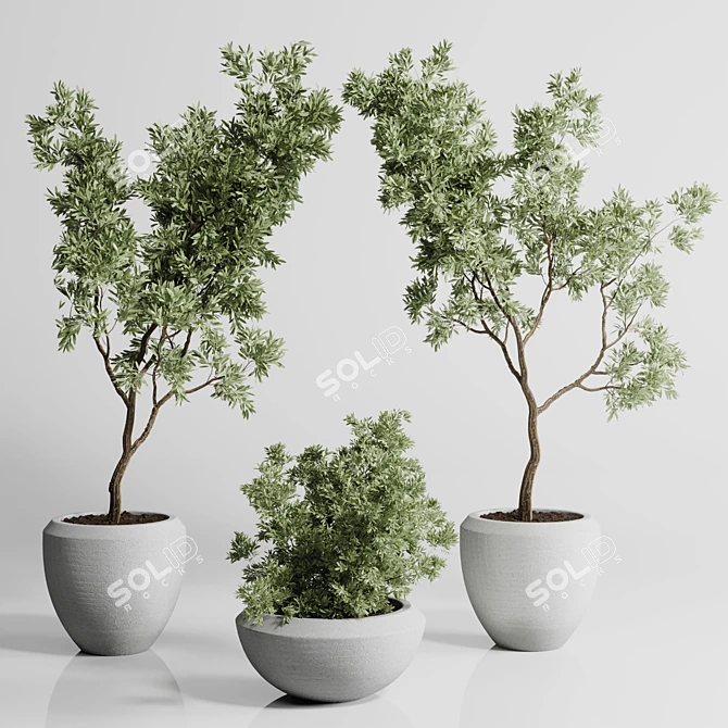 Concrete Vase Plant Collection Outdoor 3D model image 3