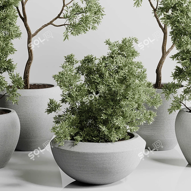 Concrete Vase Plant Collection Outdoor 3D model image 4