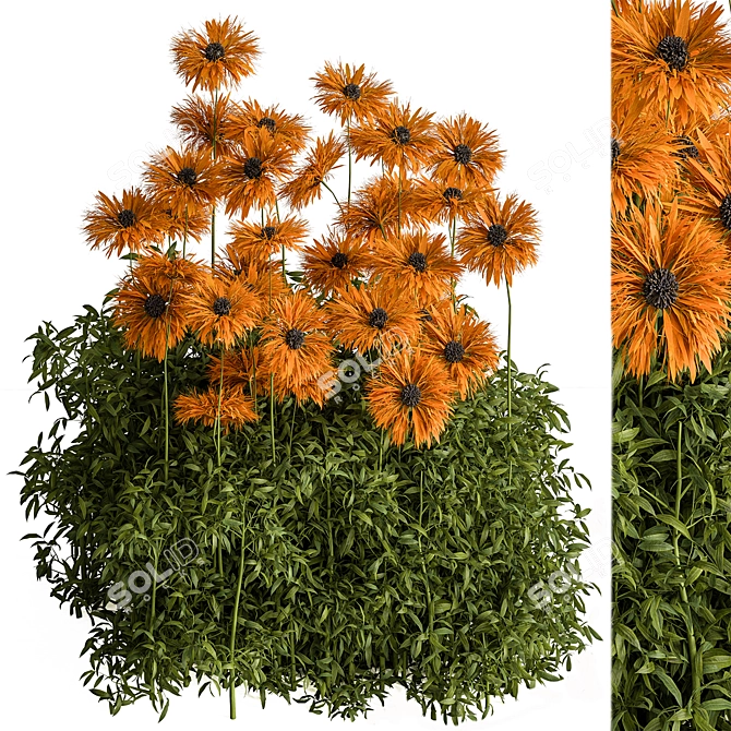 Sunshine Creeper Bush Set 3D model image 1