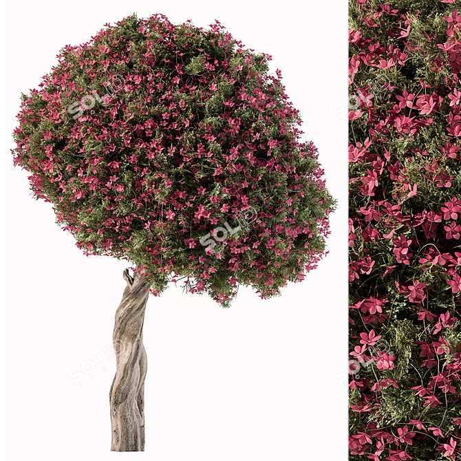 Blossom Branch - Set 104 3D model image 1