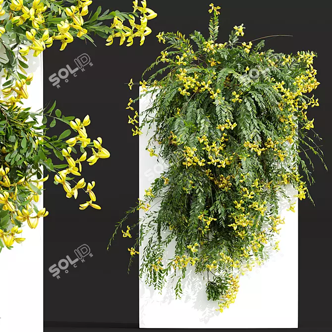 Lemon Yellow Fragrant Shrubs 3D model image 2