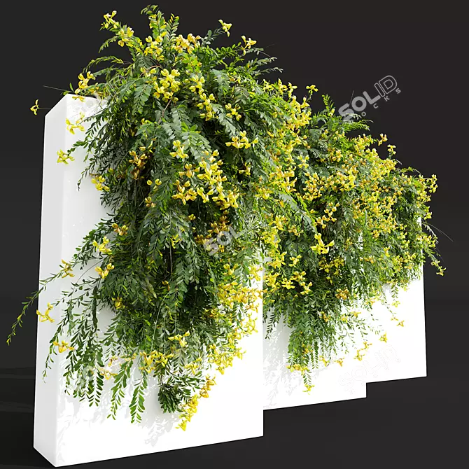 Lemon Yellow Fragrant Shrubs 3D model image 3