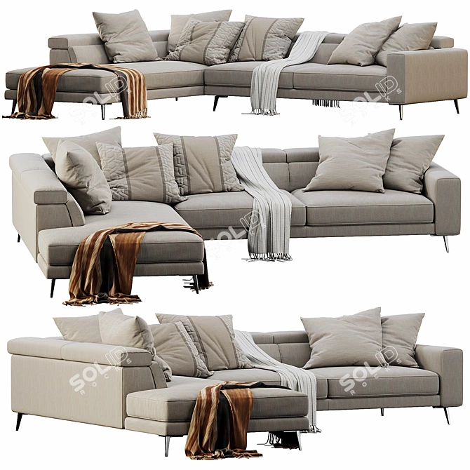 Modern Ditre Italia Chaise Lounge 3D model image 3