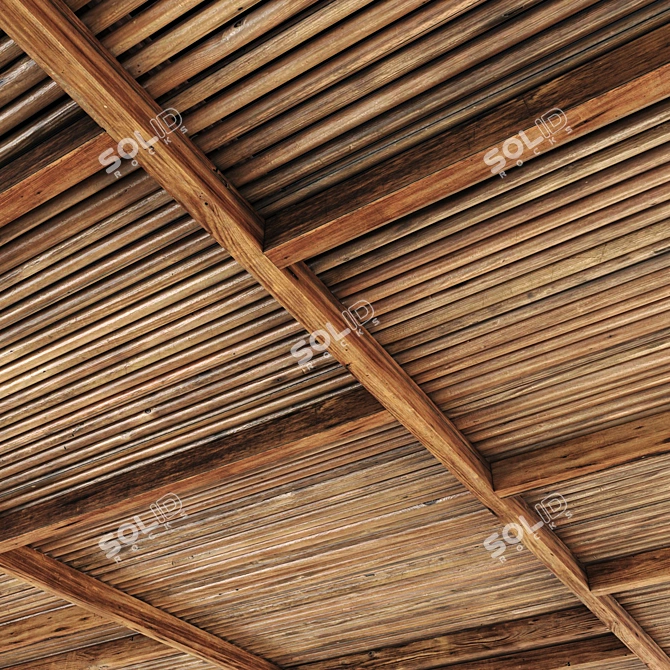 Branch Ceiling Texture Set 3D model image 2