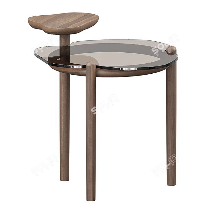 Organic Two-Tier Glass Coffee Table 3D model image 4