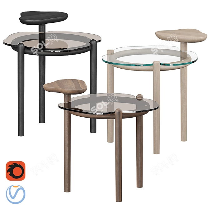 Organic Two-Tier Glass Coffee Table 3D model image 8