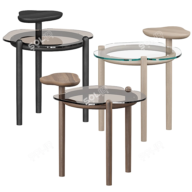 Organic Two-Tier Glass Coffee Table 3D model image 9