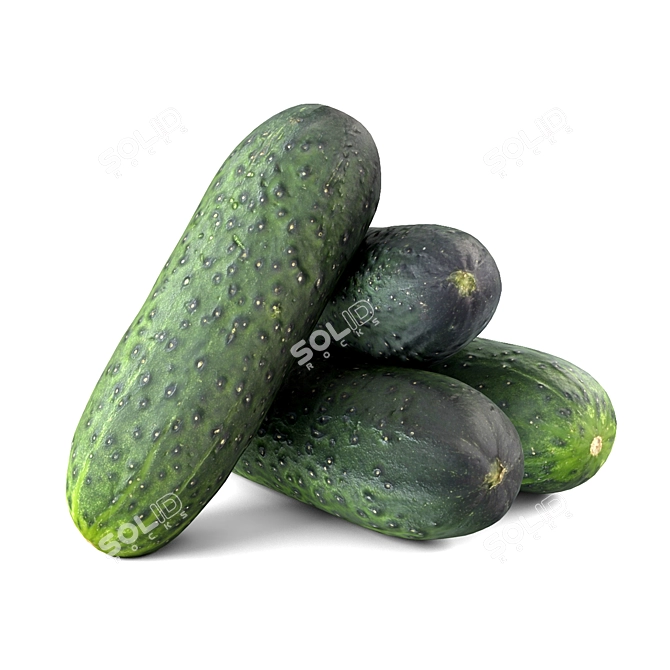  Crisp Fresh Cucumbers 3D model image 5