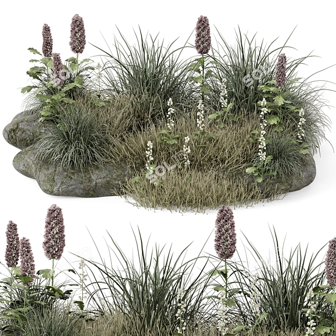 Outdoor Plants Bush 3D Model 3D model image 1