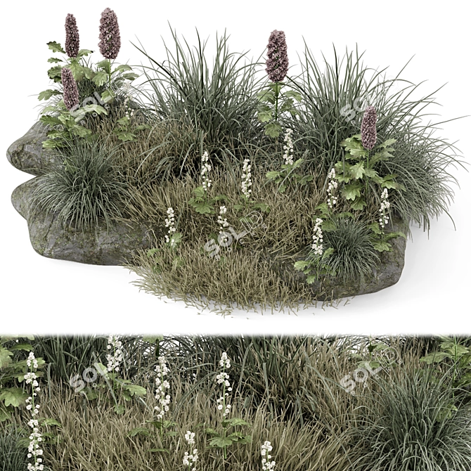 Outdoor Plants Bush 3D Model 3D model image 2