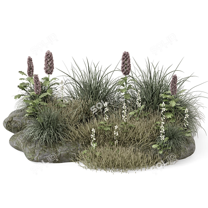 Outdoor Plants Bush 3D Model 3D model image 5